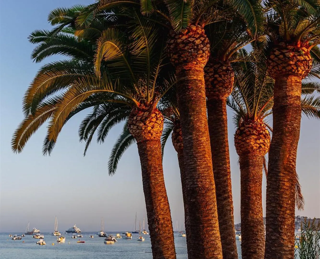 Hotel Simbad Ibiza